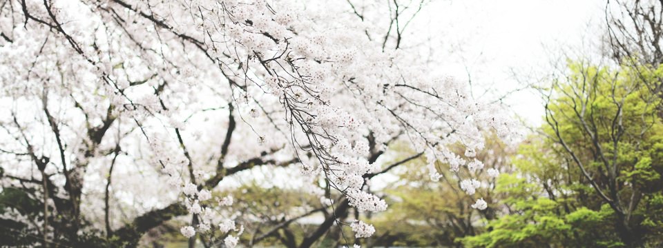 リフレッシュ工房