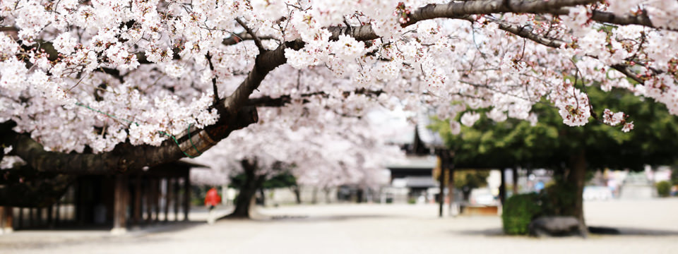 リフレッシュ工房